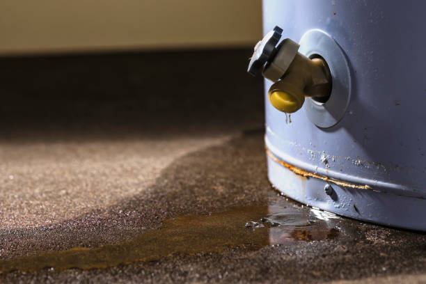 Best Water damage restoration experts  in Havre, MT