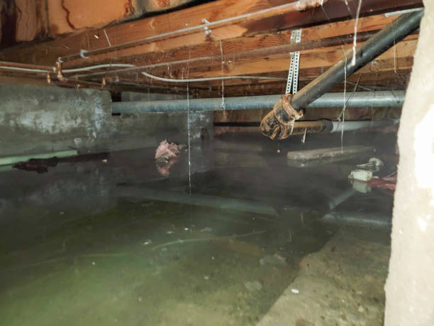 Best Emergency water damage restoration  in Havre, MT