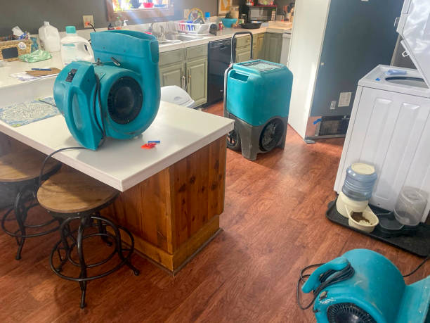 Best Water damage restoration near me  in Havre, MT