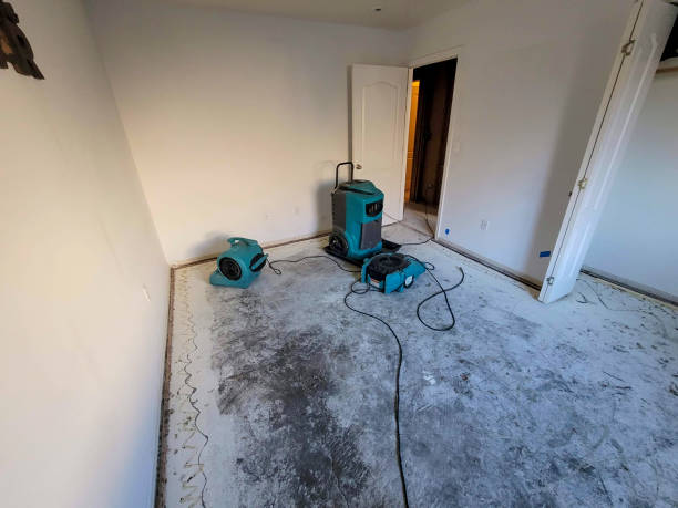 Best Residential water damage restoration  in Havre, MT