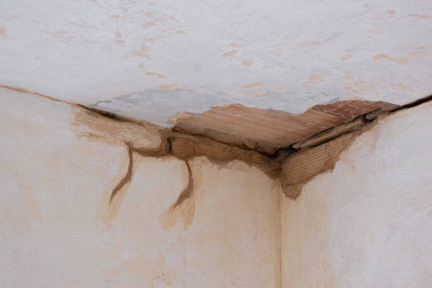 Best Flooded house restoration  in Havre, MT