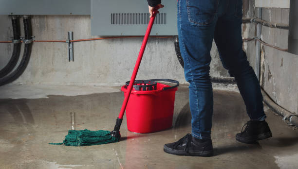 Best Professional water damage repair  in Havre, MT