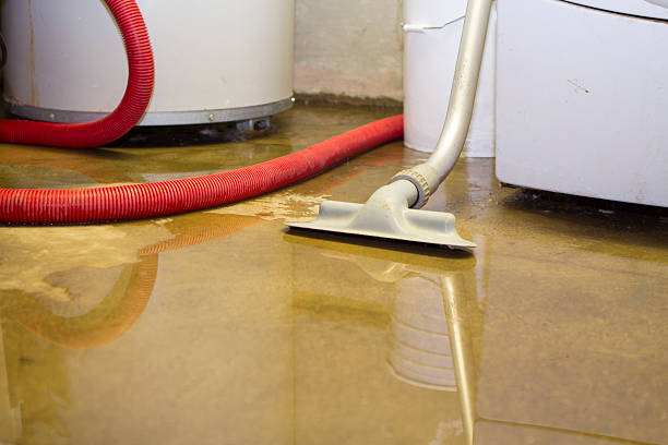 Best 24-hour water damage restoration  in Havre, MT