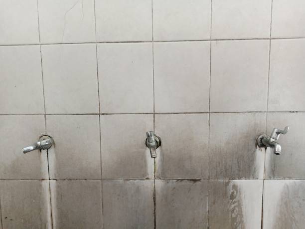 Best 24/7 water damage repair  in Havre, MT