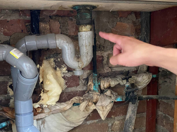 , MT Water damage restoration Company