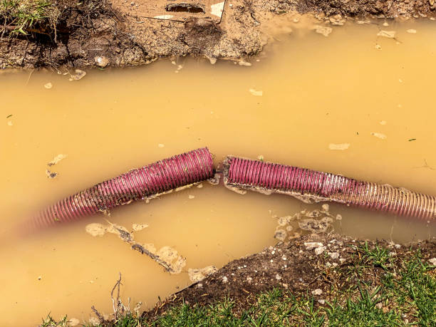 Carpet water damage restoration in MT