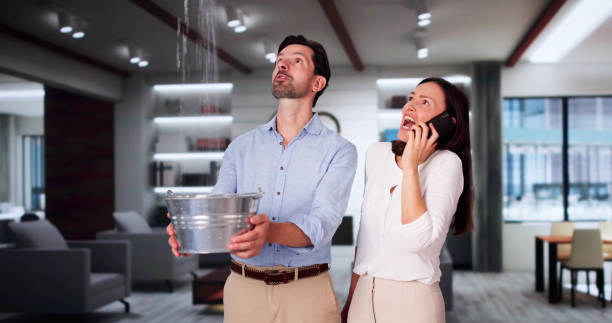 Best Local water damage restoration  in Havre, MT